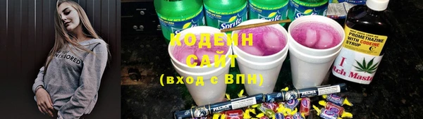 ешки Арсеньев