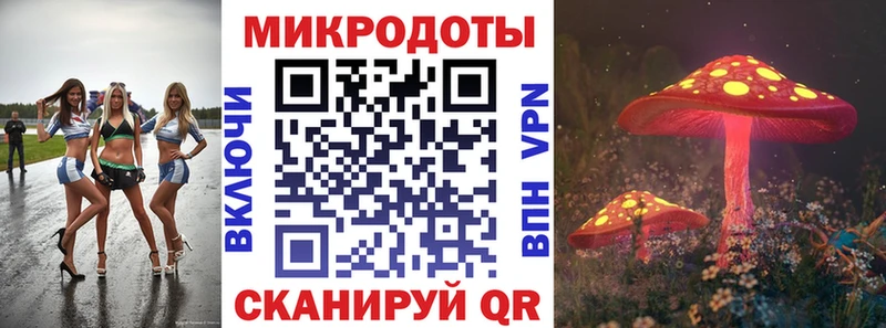 Купить закладки  Тара  Псилоцибиновые грибы Cubensis 