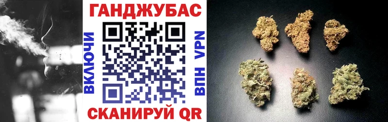 Купить закладки  Тара  Бошки марихуана ГИДРОПОН 